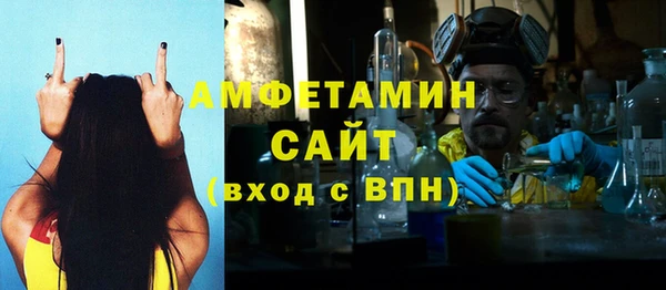 твердый Бородино