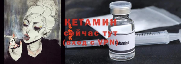 твердый Бородино