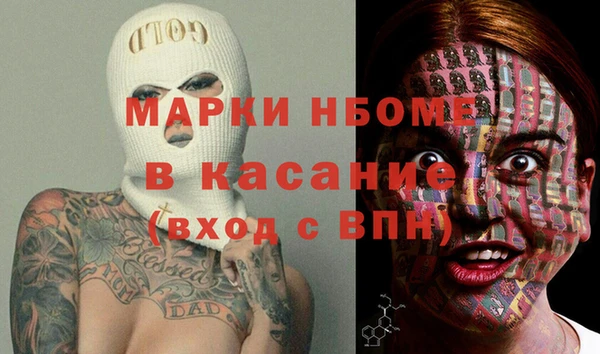твердый Бородино