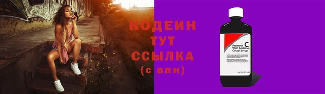 твердый Бородино
