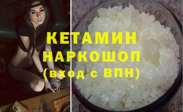 твердый Бородино