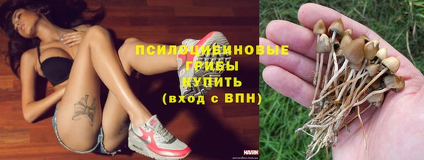 прущие крисы Бронницы