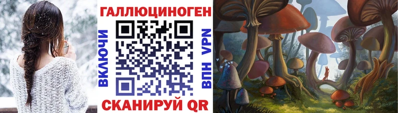 Галлюциногенные грибы Psilocybe  магазин    Курган 